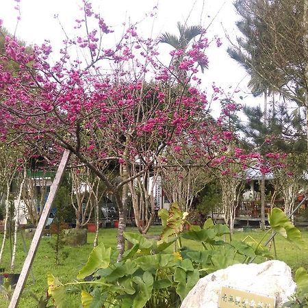 Sun Moon Lake Wild Flower Bed & Breakfast Ючи Екстериор снимка