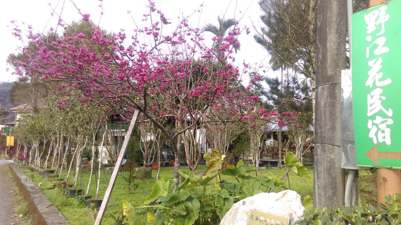 Sun Moon Lake Wild Flower Bed & Breakfast Ючи Екстериор снимка